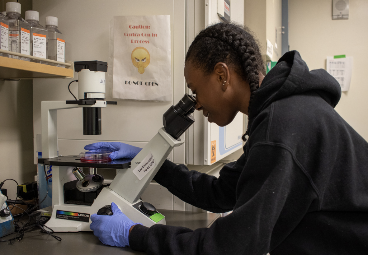 girl looking into microscope